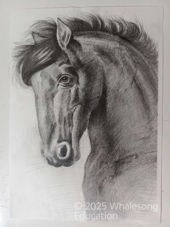 Image_202512181832493